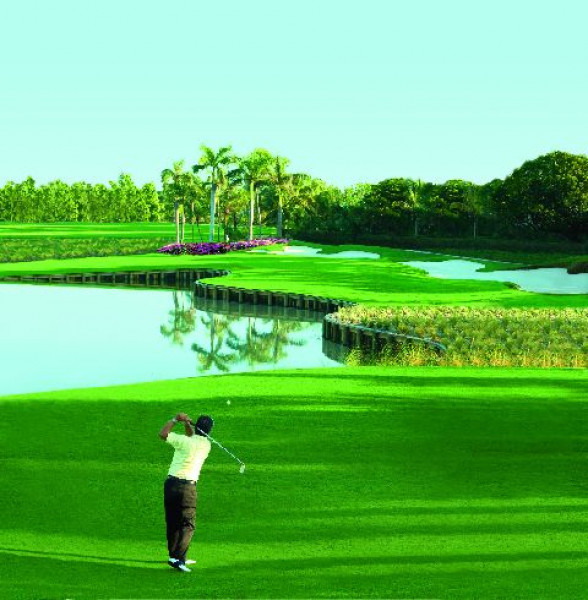 Hi TIR 24509110 TIR 146