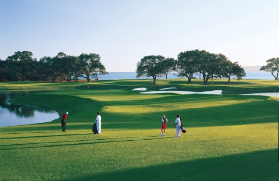 PlantationResolution