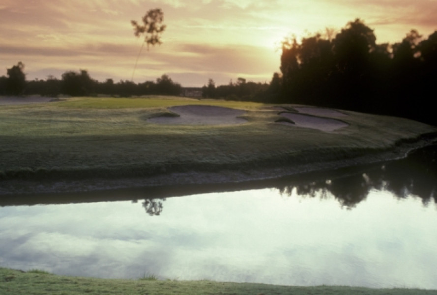 Disney Magnolia 16 034