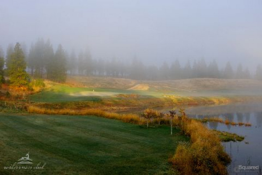 Morning Fog 18 Green D2