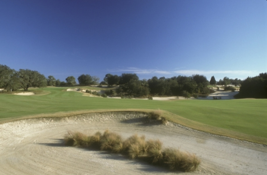 World Woods Pine Barrens 198